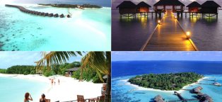Сейшелы или Мальдивы